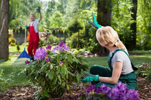 In a well-maintained garden in Sydenham, two women are actively engaged in gardening activities. One woman, with blonde hair, is kneeling close to a flowering shrub with large, vibrant purple blooms, wearing teal gardening gloves and casual clothing, and appears to be pruning or inspecting the plant. In the background, another woman is standing near the pond's edge, wearing a red apron over a light top and dark trousers, holding a gardening tool, possibly a rake or a hoe, and is involved in outdoor work. The garden scene features lush green trees and shrubs, a pond with a water feature or fountain, and a mix of landscaped flower beds with natural soil, paving stones, and grassy areas. Bright natural daylight highlights the vibrant colours of the flowers and foliage, creating a peaceful outdoor environment that showcases professional gardening and landscaping services offered by Landscapers Sydenham in the local area, reflecting contemporary and well-maintained garden care in the postcode region.