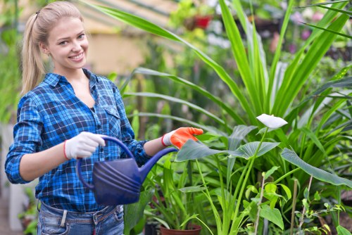 A young woman with blonde hair smiling and wearing a blue plaid shirt is shown in a lush garden environment, holding a blue watering can to water tall, green leafy plants. The garden features a variety of vegetation, including a large plant with broad leaves and white flowers, as well as smaller plants and shrubs in the background. The scene appears to be in a well-maintained outdoor space, possibly part of a residential garden or landscaped yard, with natural sunlight illuminating the scene and highlighting the vibrant green foliage. The woman's attire and gardening tools suggest she is engaged in outdoor plant care, supporting local gardening and landscaping efforts, with the garden's layout emphasizing healthy plant growth and the natural beauty of the outdoor environment near Sydenham or similar areas in the UK.