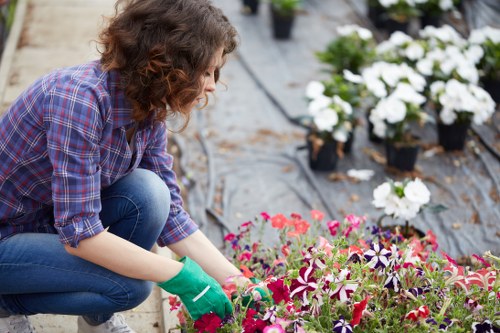 A woman with curly brown hair, dressed in a plaid shirt and blue jeans, is crouched down in a garden, carefully tending to a bed of vibrant flowering plants. The garden features a neatly maintained lawn in the foreground with lush, green grass and a smooth, dark paving pathway behind her. To the right, there are flower beds bordered with soil, housing a variety of colorful blooms including pink, purple, and white flowers. In the background, several potted plants with white blossoms are arranged on a raised platform, and some small shrubs are visible along the back edge of the garden. The scene is set in natural daylight under slightly cloudy weather, giving a soft, even light on the lush greenery and floral displays. The woman's gardening gloves indicate active planting or maintenance work, complementing the professional lawn care and garden landscaping services offered by Landscapers Sydenham, supporting quality outdoor space enhancement in the Sydenham area. Overall, the garden appears well-kept, with a balanced combination of lawn, plants, and paved areas, creating an inviting and vibrant outdoor environment suitable for continued gardening and landscaping improvements.
