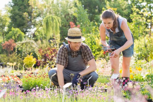 Accessible landscaping website illustration for Sydenham
