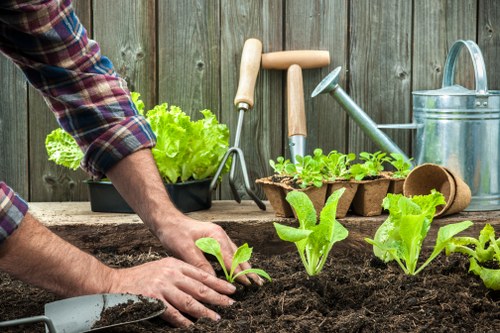 Customized garden design created by Sydenham landscaping professionals