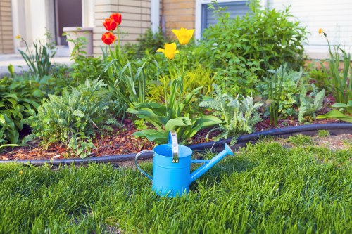 In a well-maintained garden, a bright blue watering can is placed on a lush green lawn in the foreground, with the background featuring a flower bed bordered by black edging. The flower bed contains a variety of flowering plants and shrubs, including yellow and red tulips and other greenery with textured leaves. The garden is situated near a white building with large windows, indicating a residential property in Sydenham, South London. The overall scene appears to be captured on a clear, sunny day, highlighting the vibrant colors and healthy plant growth, suitable for professional gardening and landscaping services by Landscapers Sydenham aiming to enhance outdoor spaces.