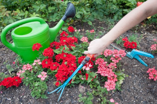 The image depicts a garden scene with a focus on flower bed maintenance. In the foreground, there are vibrant red and pink flowering plants, possibly geraniums or similar bedding plants, planted along the edge of a garden bed with dark, moist soil visible between the plants. A person's arm is extending into the frame, holding a small hand rake or garden fork, which is being used to tend or loosen the soil around the flowers. To the left of the plants, a green plastic watering can with a round top, spout, and handle is positioned on the soil, suggesting watering or garden care activities. In the background, dense green foliage and low shrubs form the backdrop, indicating a well-maintained garden with a mix of flowering plants and greenery. The scene appears to be outdoors, on a partly cloudy day with diffused natural light, typical of a lush, landscaped garden environment in Sydenham or a similar area. This image is representative of general gardening and planting activities carried out by a professional landscaping service like Landscapers Sydenham, highlighting their expertise in outdoor garden care and maintenance.