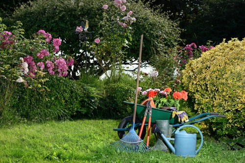 A well-maintained garden scene featuring a lush, green lawn bordered by vibrant flowering bushes and shrubs in shades of pink, purple, and yellow. In the background, trees and taller plants provide a natural backdrop. The foreground displays gardening tools and equipment, including a rake, a watering can, and a wheelbarrow partially filled with garden supplies, indicating ongoing outdoor maintenance. The sunlight casts soft shadows, suggesting a clear, bright day, and the overall setting reflects a tidy, organized outdoor space suitable for gardening services in the Sydenham area, with a focus on lawn care and shrub management.