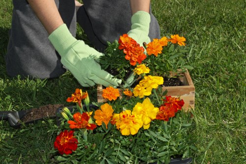 A person wearing light green gardening gloves is planting or tending to a container filled with vibrant orange, yellow, and red flowering plants in a backyard garden. The garden features a well-maintained lawn with lush green grass surrounding the planting area, and a small wooden box or pot can be seen nearby. In the background, there are additional garden elements such as soil beds or flower borders, with natural daylight illuminating the scene. The environment appears neat and conducive for outdoor gardening activities, reflecting professional landscaping practices. This scene is typical of outdoor garden maintenance and floral planting services provided by local landscapers in Sydenham, supporting garden beautification and plant care.
