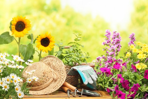 A vibrant garden scene featuring a variety of flowering plants and gardening tools. In the foreground, there are several white daisies with yellow centers, alongside tall sunflowers with large, bright yellow petals and dark centers. To the right, there are clusters of purple and pink flowers, possibly petunias or similar, growing densely in their garden bed. A broad-brimmed straw hat rests on the wooden surface, accompanied by gardening gloves, pruning shears, and trowels, indicating recent or upcoming planting activities. The background displays lush green foliage and trees, with sunlight filtering through, casting a warm, natural glow over the outdoor space. The garden appears well-maintained, with neatly arranged flower beds and a healthy, green lawn area, embodying typical features of a landscaped outdoor area suitable for gardening and lawn care landscaping services in Sydenham, UK.