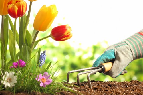 A close-up view of a gardener's gloved hand using a small hand rake to cultivate dark, moist soil in a flower bed. The flower bed is situated in a landscaped outdoor space with vibrant tulips in shades of yellow, red, and orange, along with small purple and white flowers growing amidst lush green grass. The background features a slightly blurred garden with natural sunlight illuminating the scene, highlighting the textures of the soil, plants, and garden tools. This setting reflects typical gardening and landscaping activities in a well-maintained outdoor area, consistent with services offered by Landscapers Sydenham in the Sydenham area.
