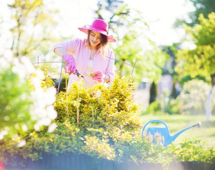 A woman in a pink hat and gardening gloves is tending to a well-maintained garden bed filled with yellow flowering plants and green shrubbery. The garden features a neatly bordered flower bed with dark soil, set against a backdrop of lush trees and a bright, sunny day. She appears to be pruning or planting, using small hand tools, with a blue watering can visible in the foreground. The outdoor space is open and well-organized, with vibrant natural tones and a peaceful atmosphere, indicative of professional gardening and landscaping efforts typical of a residential garden in the Sydenham area. The scene highlights the care and attention given to cultivating a colorful, thriving landscape suitable for outdoor enjoyment and maintenance services by Landsapers Sydenham.