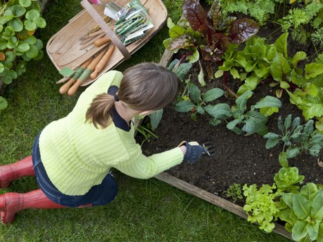 Comprehensive landscaping services including hardscaping and irrigation