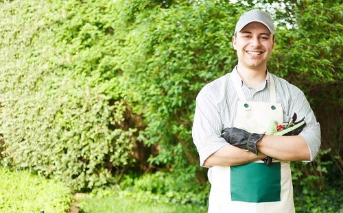 A professional gardener, dressed in a grey cap, striped shirt, and green apron, is standing outdoors in a landscaped garden with lush green foliage, neatly trimmed hedge lines, and a well-maintained lawn area. The gardener is smiling and holding gardening shears and a trowel, indicating preparation for planting or pruning activities. The garden features a grassy lawn with a dense backdrop of shrubs and small trees, creating a vibrant natural setting. The scene is well-lit, suggesting a bright, possibly sunny day, and the environment appears peaceful and well cared for. This outdoor space exemplifies typical garden maintenance and landscaping work, supporting gardening services offered by companies like Landscapers Sydenham, especially in local areas near Sydenham, South East London.