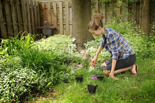 A young woman with curly hair, dressed in a blue plaid shirt and black jeans, is kneeling on a neatly maintained lawn in a residential garden located in Sydenham. She is actively planting small flowering plants in black plastic pots, which are arranged on the grass beside her. The garden features a variety of lush greenery, including various shrubs and perennials, with a large tree trunk visible in the background. A wooden fence surrounds the garden, providing privacy, and a small barbecue or garden ornament is seen in the background near the fence. The scene appears to be during daytime with soft natural light indicating good weather, ideal for gardening activities typical of outdoor landscape maintenance and garden care services offered by companies like Landscapers Sydenham. The environment is well-kept, with healthy grass and flourishing plants, highlighting the importance of proper lawn and plant care in supporting a vibrant outdoor space in the local area around Sydenham, South London.