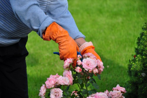 The image depicts a gardener in a backyard garden, wearing a light grey long-sleeved top and bright orange gardening gloves, carefully tending to a cluster of pink flowering roses. The roses are densely packed with multiple blooms and dark green foliage. In the background, there is a well-maintained lawn area with lush, evenly cut grass, bordered by a diverse arrangement of shrubs and small trees. To the right, a landscaped section includes evergreen hedges and flowering plants, adding natural colour variations and textures to the outdoor space. The garden appears to be outdoors on a clear day with natural sunlight illuminating the scene, highlighting the vibrant colours of the flowers and greenery. The setting suggests professional gardening or landscaping work, aligned with services offered by companies like Landscapers Sydenham, promoting outdoor maintenance and plant care within a landscaped yard environment in the local area near Sydenham, London.