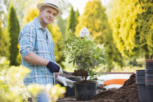 In the image, a man wearing a beige hat, light blue checked shirt, and gardening gloves is engaged in planting activities in a garden, with a potted shrub or small tree in front of him. The garden features a variety of elements such as neatly maintained flower beds, dark soil, and several empty plant pots stacked nearby. In the background, there are lush green trees and a bright, sunny sky, suggesting a warm outdoor environment. The scene captures an organized outdoor space with well-managed planting beds and a cultivated lawn area, reflecting typical garden maintenance work. The setting appears to be in a residential garden in Sydenham, with a focus on outdoor planting and landscaping, consistent with the services offered by Landscapers Sydenham, including gardening and outdoor improvements. The natural lighting highlights the vibrant green leaves of the plant, and the overall environment suggests a well-kept and thoughtfully landscaped garden area available for professional garden and landscaping services.