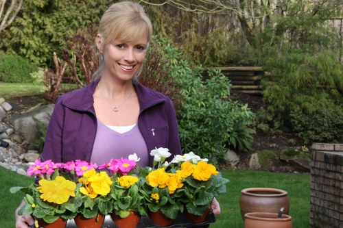 A woman with blonde hair wearing a purple jacket and white top is standing outdoors in a landscaped garden, holding a black tray filled with potted flowering plants in bright yellow, white, and pink blooms. The garden features a well-maintained lawn with dense green hedges and shrubs in the background, alongside a stone and brick retaining wall, and a small wooden staircase leading up to an elevated garden area. The scene is illuminated by natural daylight, with a lush, natural environment typical of a suburban backyard in Sydenham, London, suggesting a focus on gardening and outdoor maintenance services by Landscapers Sydenham. The garden elements emphasize a tidy, thoughtfully arranged outdoor space suitable for leisure and gardening activities, reflecting seasonal planting and garden care themes.