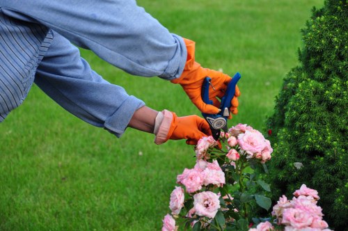 Local Sydenham landscaping team planning a garden design