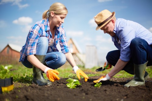 Two individuals, a woman and a man, are engaged in gardening activities in a well-maintained outdoor garden space, working close to the ground. The woman, with blonde hair tied back, is wearing a blue plaid shirt, blue jeans, and rubber boots, and is using gloves while tending to a small leafy green plant in freshly turned dark soil. The man, wearing a light blue shirt, dark trousers, rubber boots, and a straw hat, is also wearing gloves and is planting or inspecting the same or another plant nearby. The garden features a lush green lawn area in the foreground and a border of neatly trimmed hedges or shrubs in the background, alongside some garden structures or fencing. The weather appears clear with a bright sky, suggesting a sunny day. The scene indicates careful maintenance and planting in a residential garden setting, reflective of attentive gardening services such as those provided by Landscapers Sydenham, emphasizing healthy soil, organized layout, and outdoor environmental upkeep.