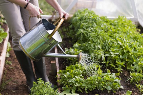 Experienced Sydenham landscapers assessing a property