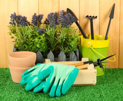 The image displays a neatly arranged gardening setup in a garden space, featuring a row of vibrant purple flowering plants with green foliage in black pots against a wooden fence backdrop. In front of the plants, there are two terracotta pots, and a light-colored wooden tray holds a pair of bright turquoise gardening gloves. To the right, a yellow plastic bucket contains various garden tools such as a hand trowel, a cultivator, and a transplanter, each with black handles. The setup is placed on a well-maintained green turf lawn, which appears freshly cut and healthy. The scene is well-lit, indicating natural daylight, and emphasizes a tidy outdoor gardening environment suitable for maintenance and planting activities typical of the services offered by Landscapers Sydenham in South London, serving the Sydenham postcode area. This arrangement highlights essential garden care tools and plant displays commonly seen in residential gardens requiring professional gardening and outdoor maintenance services.